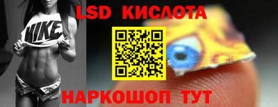 прущие крисы Новозыбков