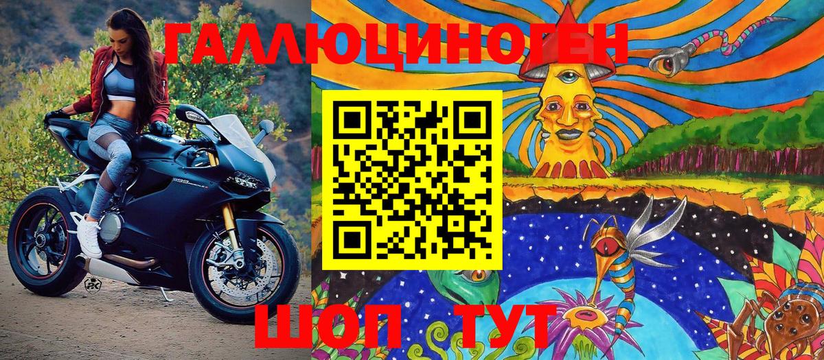 Галлюциногенные грибы Psilocybine cubensis Таганрог