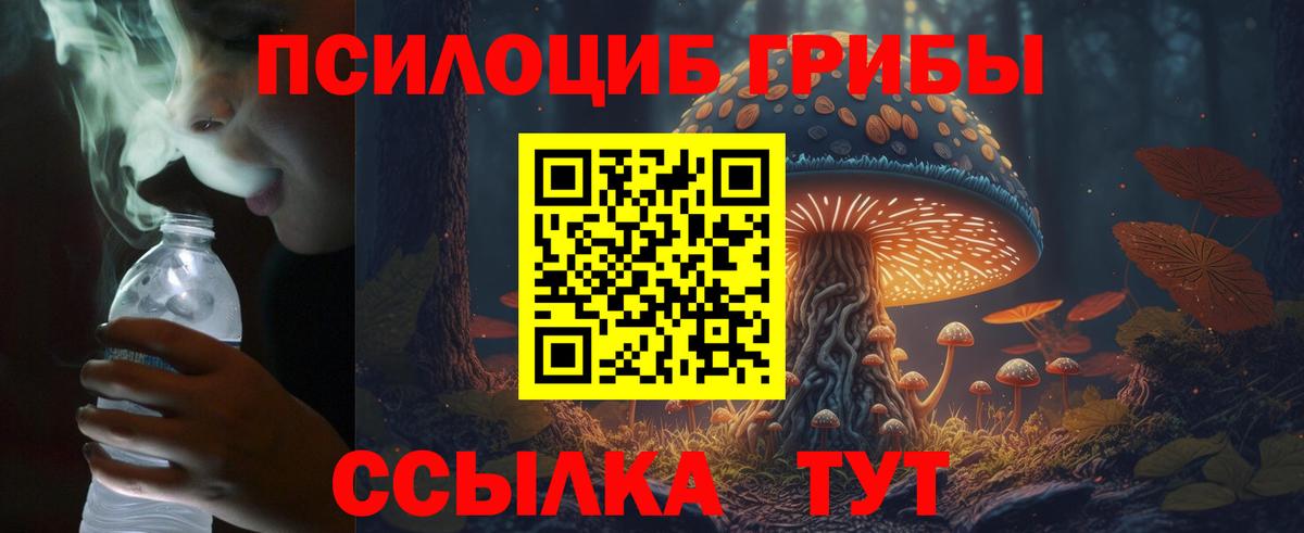 Галлюциногенные грибы мицелий  хочу   Таганрог  Вход с VPN 